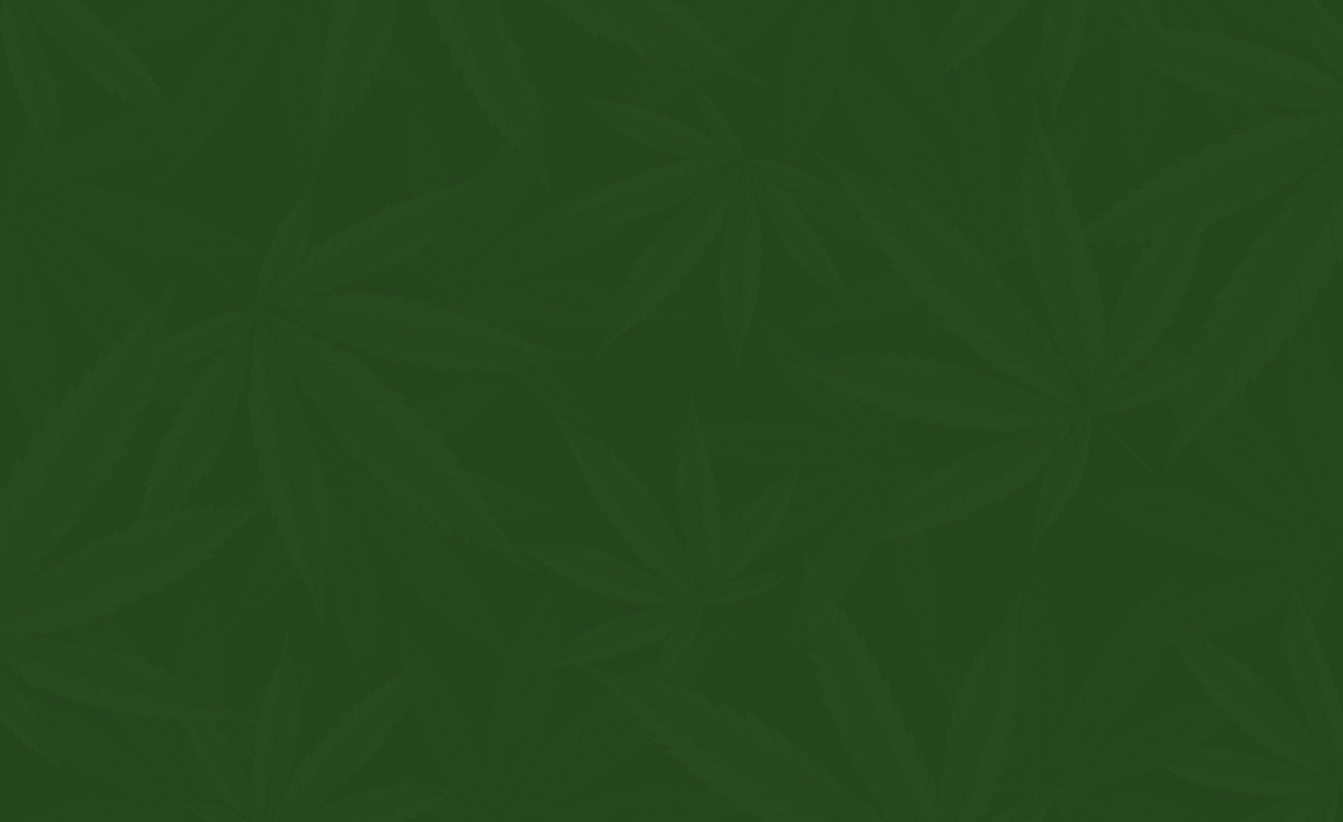 Premium cannabis products